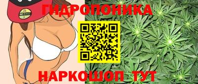 твердый Будённовск