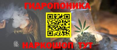 твердый Будённовск
