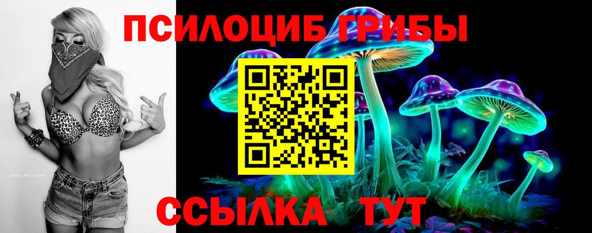 Галлюциногенные грибы Psilocybine cubensis  Вход с VPN  цены наркотик  Трёхгорный 